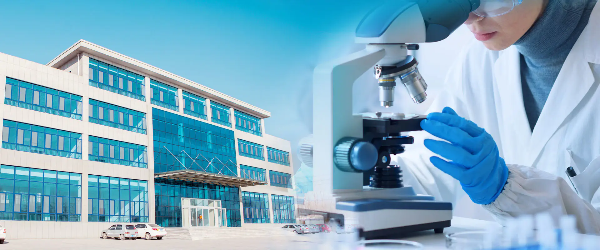 ZINCH ब्रॉरेट निर्माता